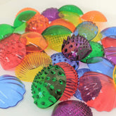 The Curated Parcel - Tactile Transparent Shells